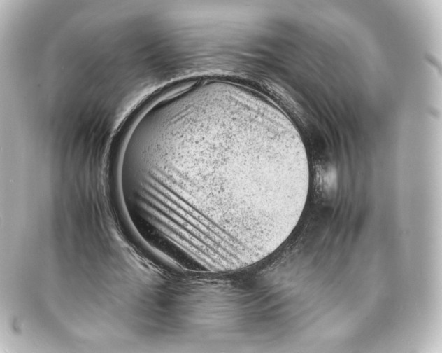 X0000098160676200805081104