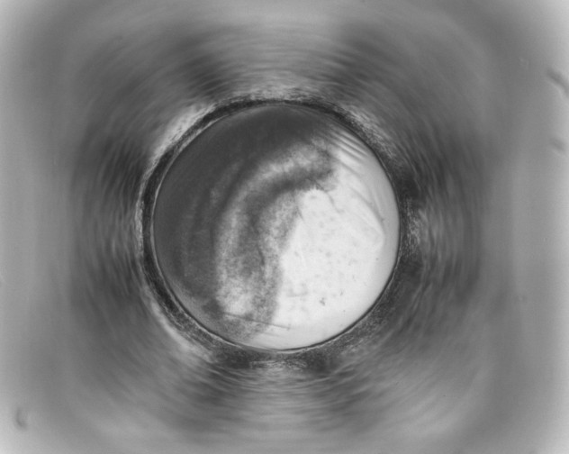 X0000098160678200805081104