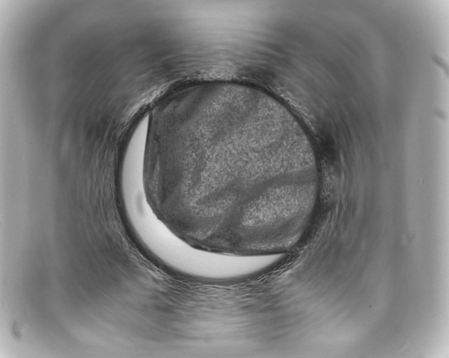X0000098160681200805081104