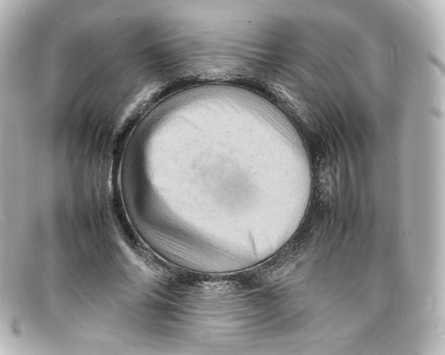 X0000098160686200805081104