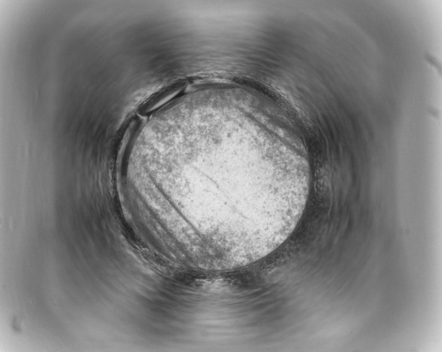 X0000098160688200805081104