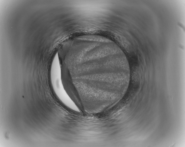 X0000098160689200805081104
