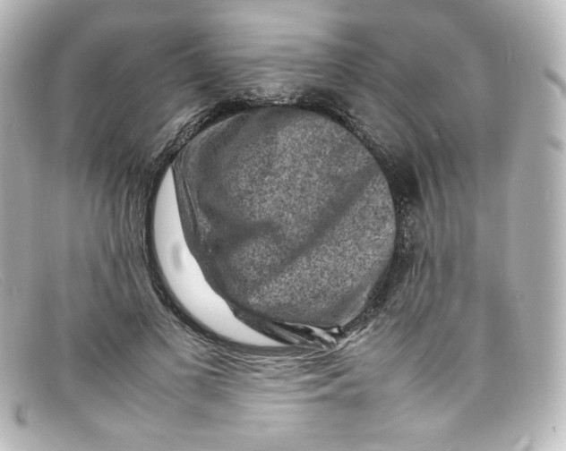 X0000098160693200805081104