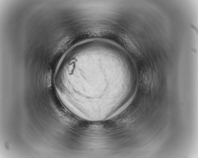 X0000098160694200805081104