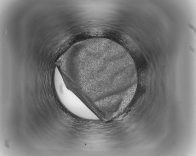 X0000098160697200805081104
