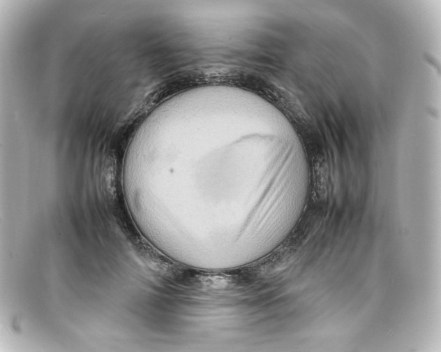 X0000098160698200805081104