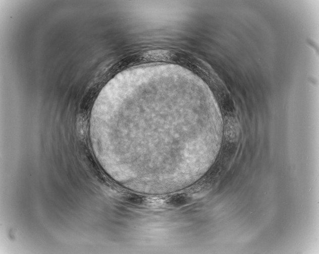 X0000098160701200805081104