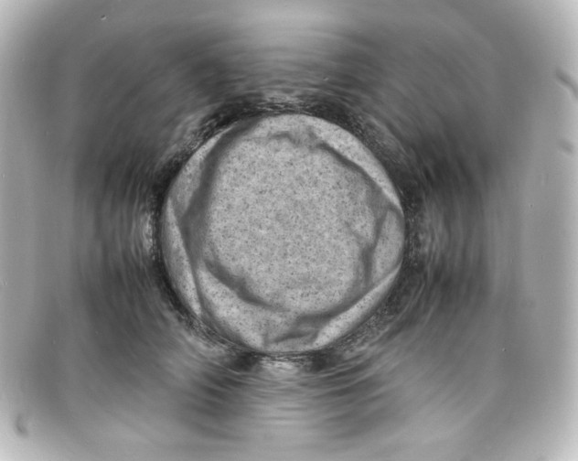 X0000098160706200805081104