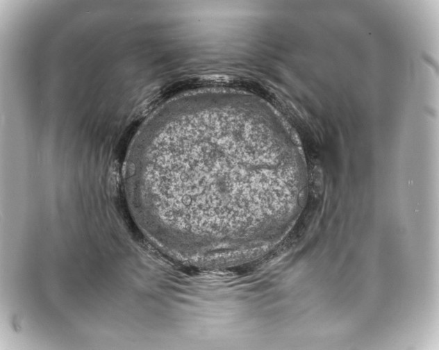 X0000098160707200805081104