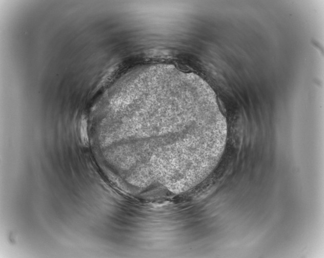 X0000098160708200805081104
