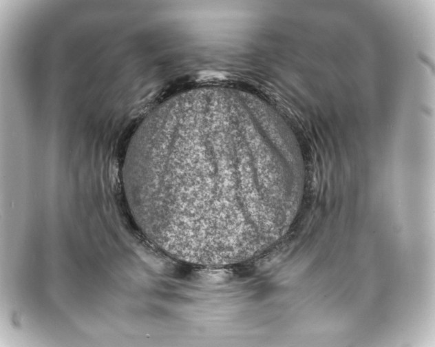 X0000098160711200805081104