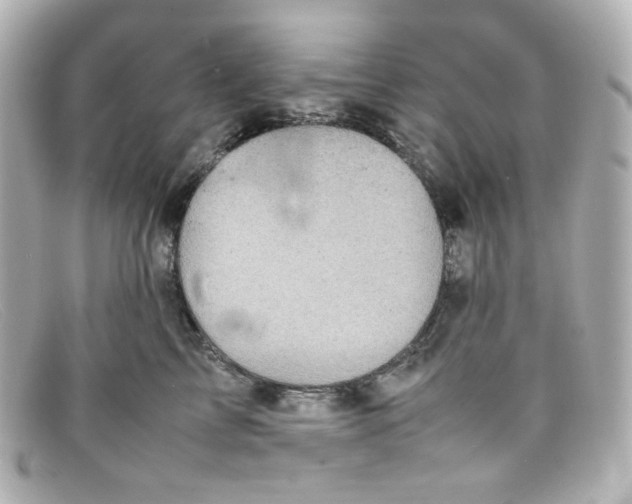 X0000098160713200805081104