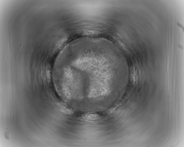 X0000098160716200805081104