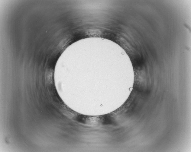 X0000098160717200805081104