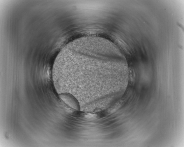 X0000098160718200805081104