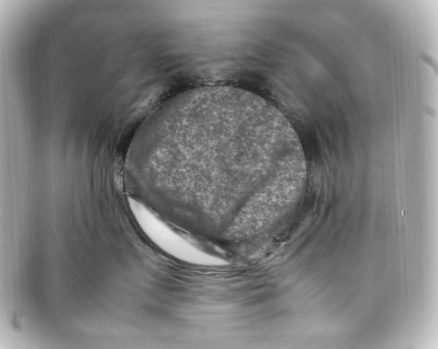 X0000098160719200805081103
