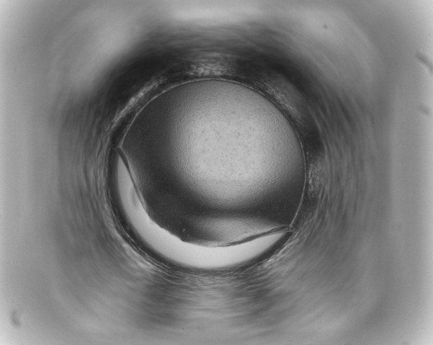 X0000098160722200805081103