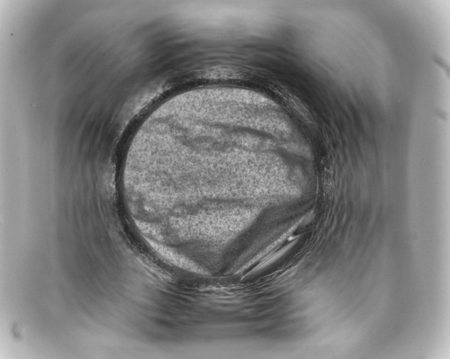 X0000098160727200805081103