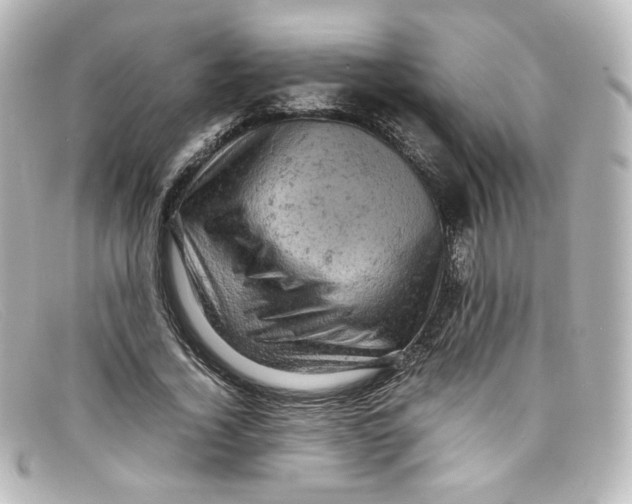 X0000098160732200805081103
