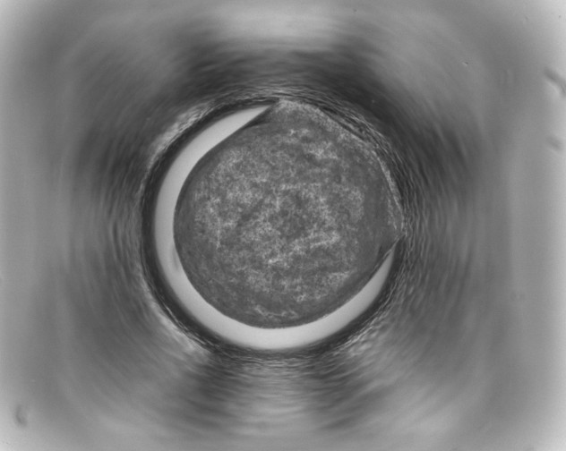 X0000098160734200805081103