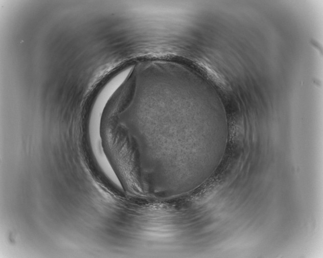 X0000098160736200805081103