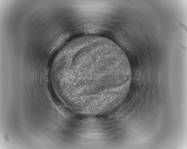 X0000098160738200805081103