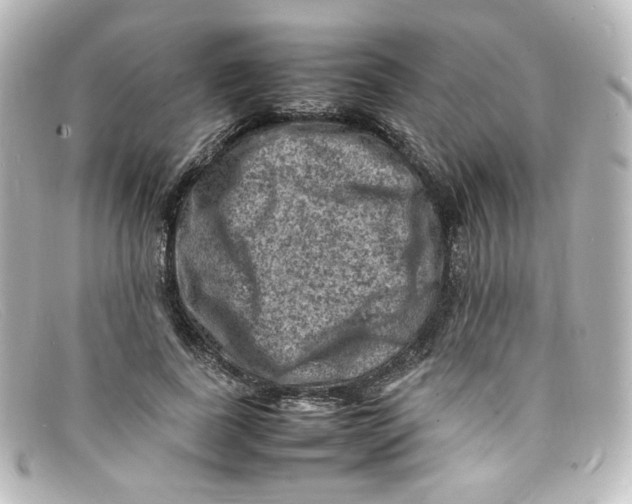 X0000098160739200805081103