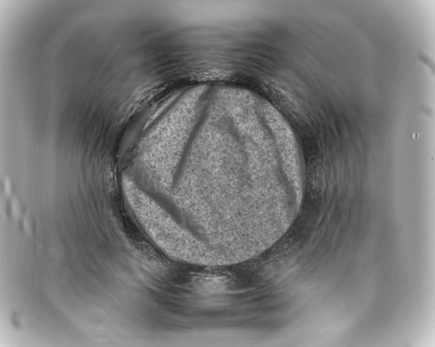 X0000098160743200805081103