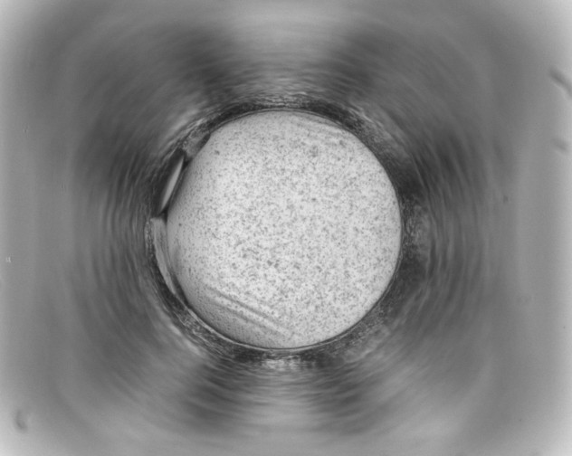 X0000098160744200805081103