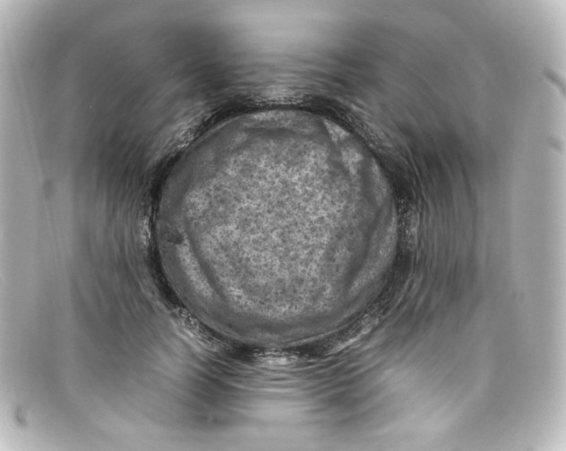 X0000098160746200805081103