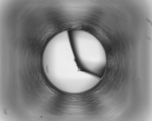 X0000098160748200805081103