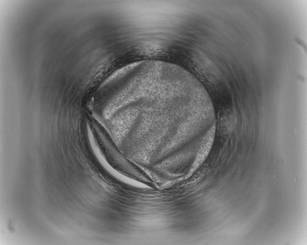 X0000098160750200805081103