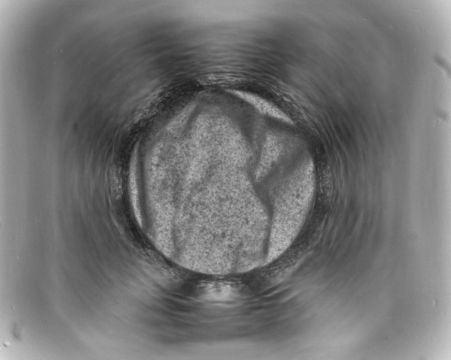 X0000098160751200805081103