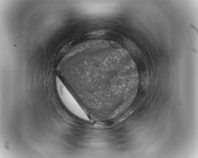 X0000098160758200805081103