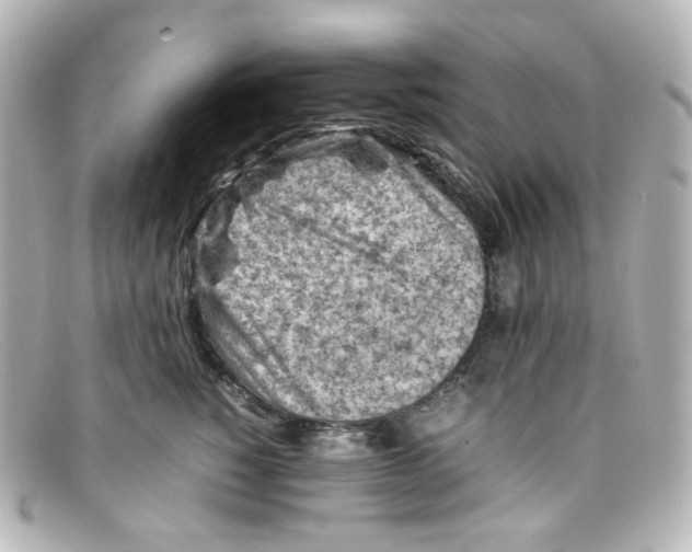 X0000098160760200805081103