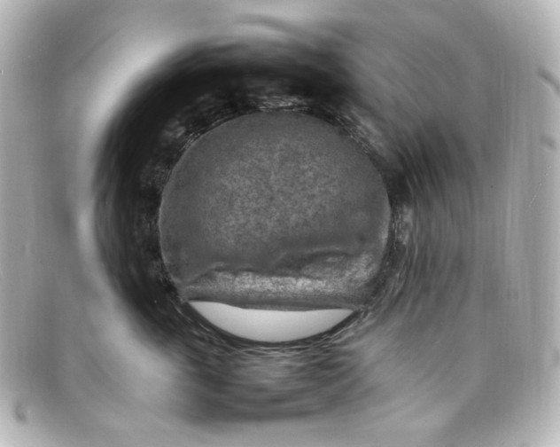 X0000098160763200805081103