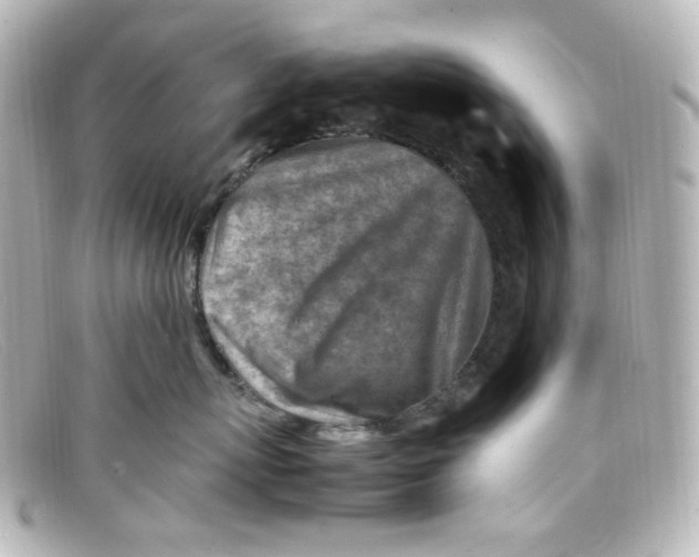 X0000098160767200805081103