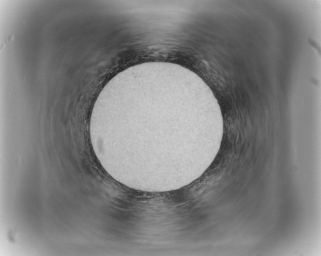 X0000098160769200805081103
