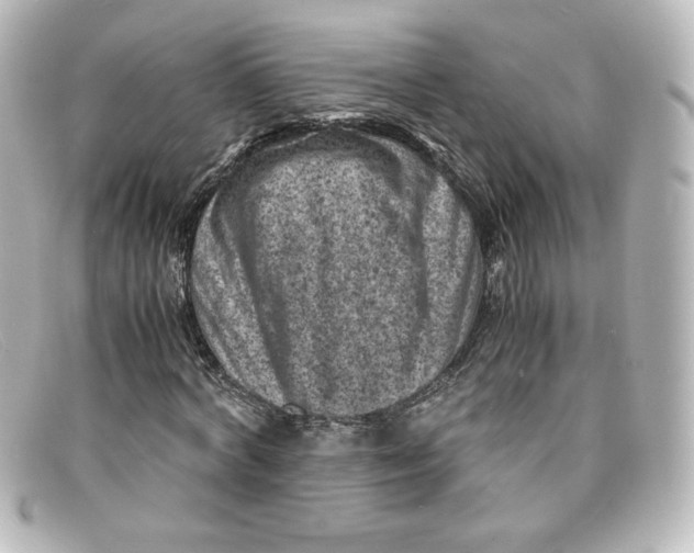 X0000098160772200805081103