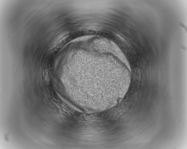X0000098160774200805081103