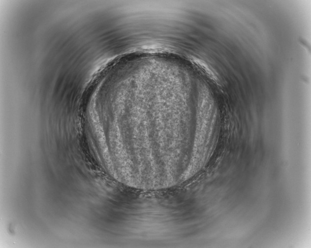 X0000098160776200805081103