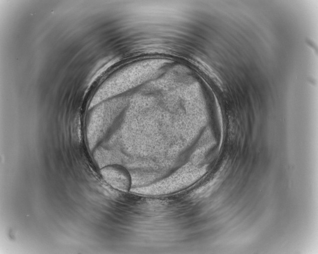 X0000098160782200805081103