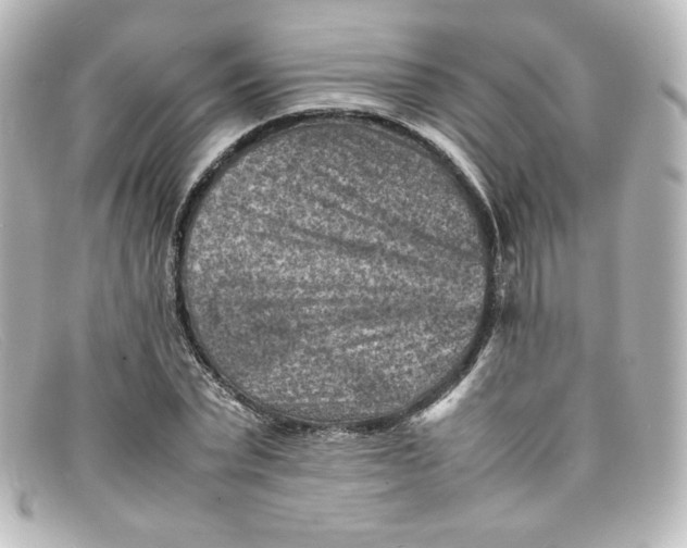 X0000098160783200805081103