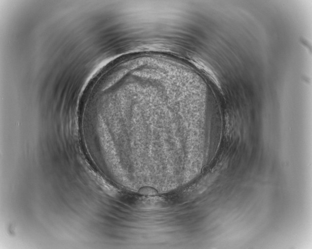 X0000098160784200805081103