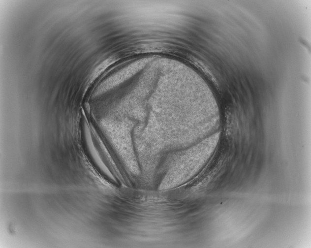 X0000098160786200805081103