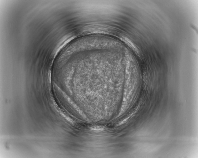 X0000098160790200805081102