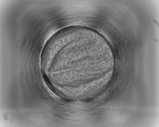 X0000098160791200805081102