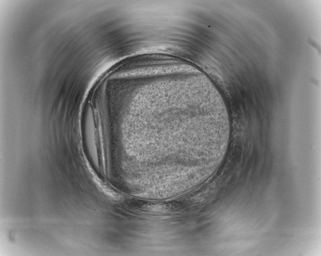X0000098160792200805081102