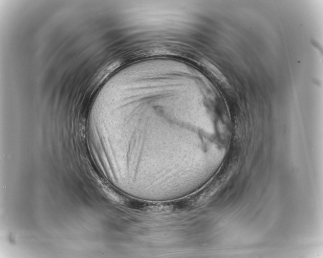X0000098160793200805081102