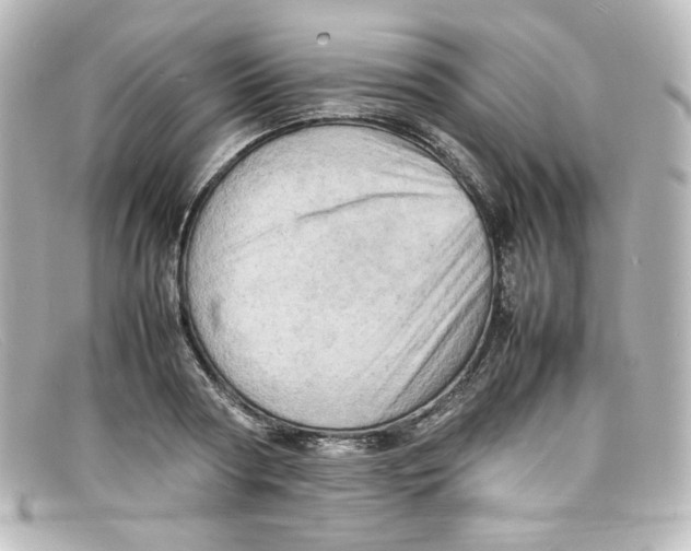 X0000098160794200805081102